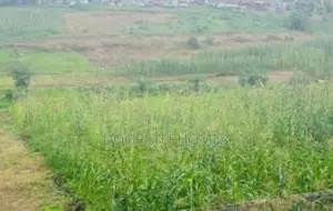 Strategic 3,190sqm Commercial & Residential Land (Negotiable) in Jabi - land listing for ₦1,600,000,000