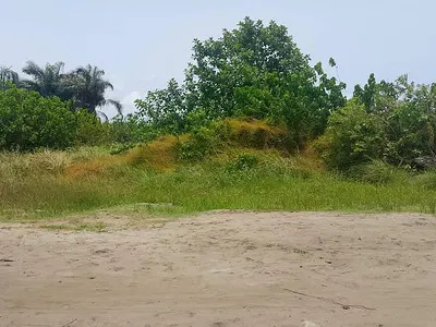 Cornerpiece Waterfront Plot, Fully Serviced Phase 2 from ₦1.35M/sqm in Lekki Phase 1 - land listing for ₦1,350,000
